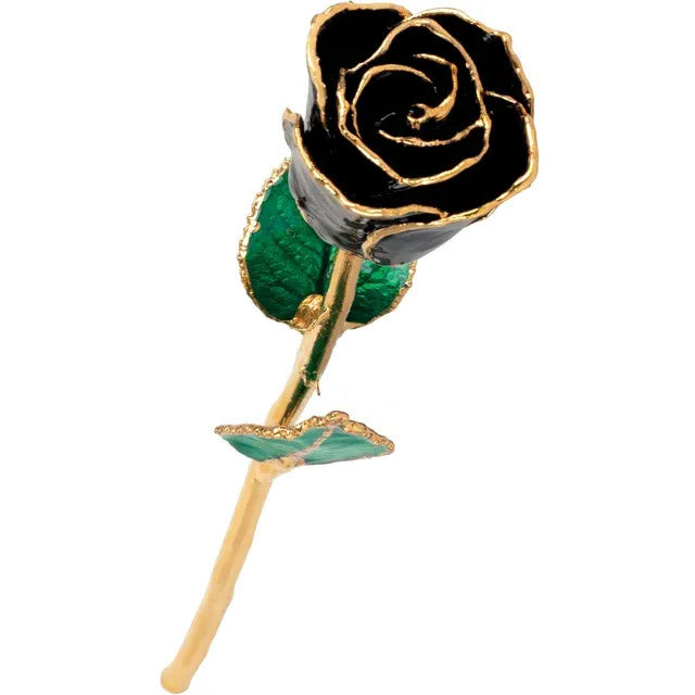 Laquered Rose - Black with Gold Trim