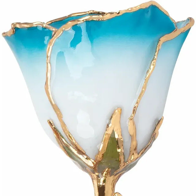 Laquered Rose - Cream Turquoise with Gold Trim