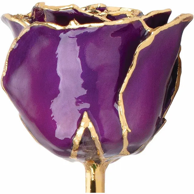 Laquered Rose - Purple with Gold Trim
